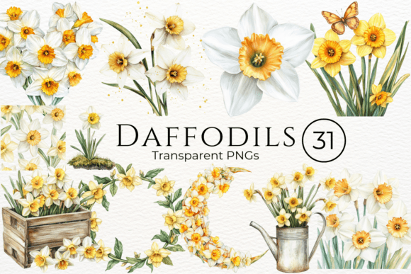 Download Daffodils Flower Watercolor Cliparts - Daffodils Collection
