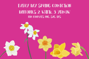 Download Daffodils - Daffodils Collection