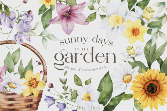 Download Spring Florals Watercolour Daffodils PNG - Daffodils Collection
