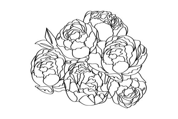 Download Bouquet of Peony Flowers Elegance Linear - Elegance Collection