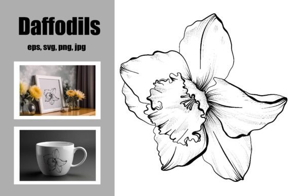 Download Daffodils Freehand Drawing - Daffodils Collection